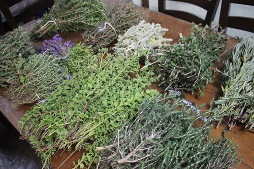 Neue Angebote bei Villa Maria