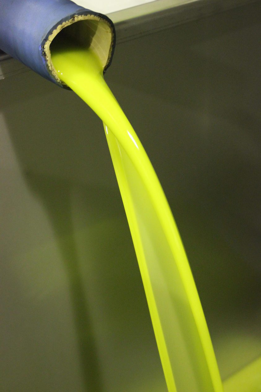 In der Ölmühle von Zakros…