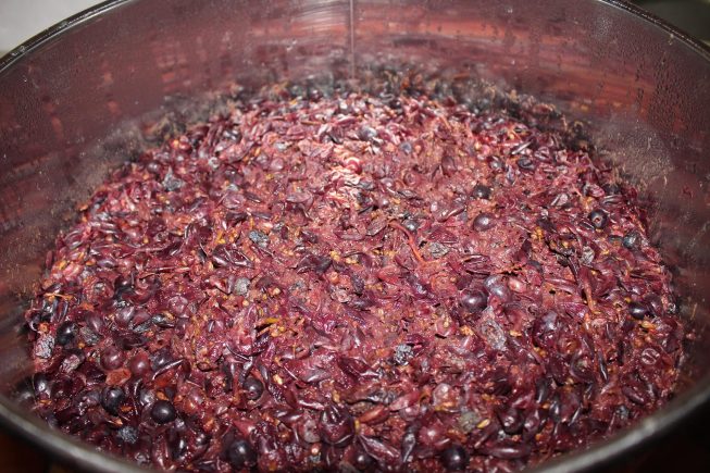 Es gärt und blubbert wieder im Keller in Kapsali (Kreta)…  :)