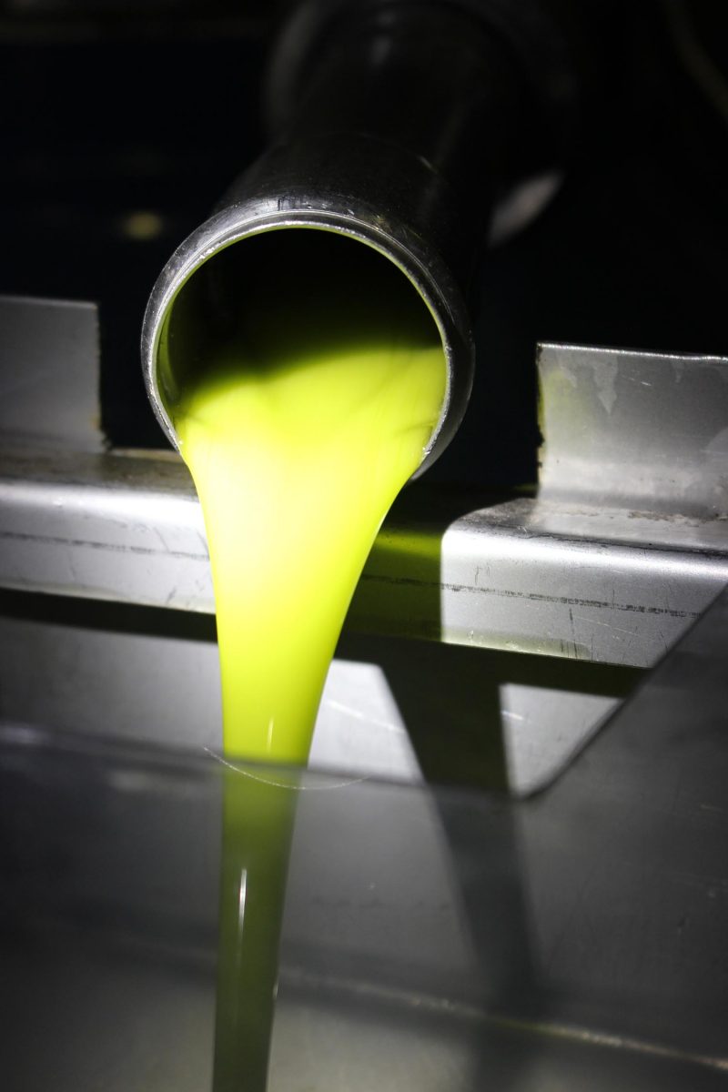 Abends in der Ölmühle von Zakros: Von der Anlieferung zum neuen, frischen Olivenöl!