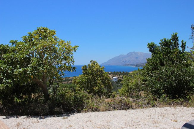 Wie wunderschön, endlich wieder zuhause zu sein!