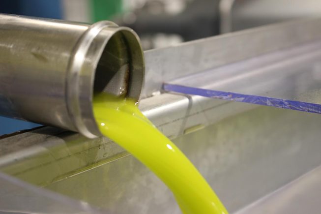 Von den kleinen Koroneiki-Oliven zum hochwertigen Villa Maria – Bio-Olivenöl Nativ Extra…