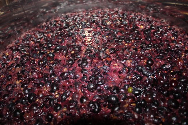 Es gärt und blubbert wieder…