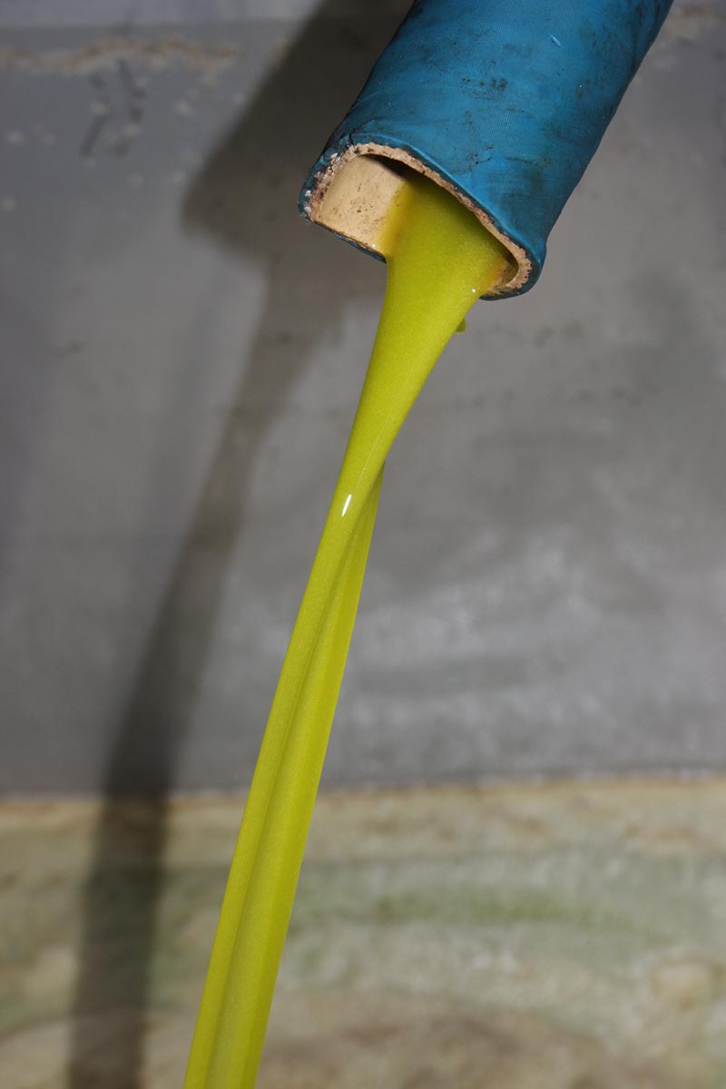 In der Ölmühle von Zakros, Kreta: Verarbeitung unserer Bio-Koroneiki-Oliven zu hochwertigem Villa Maria – Nativem Bio-Olivenöl Extra.