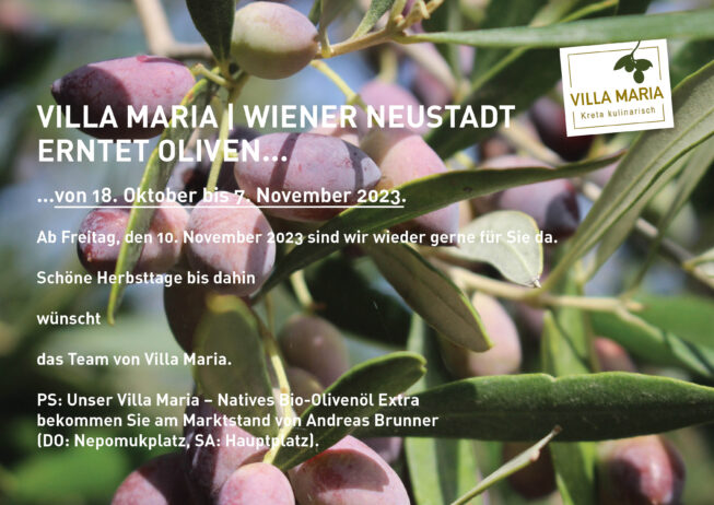 Villa Maria | Wiener Neustadt erntet Oliven…