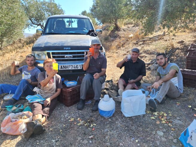 Ende der Villa Maria – Bio-Olivenernte in Zakros, Kreta…